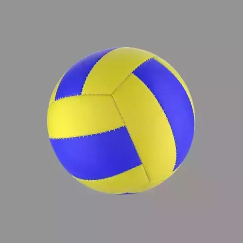 volleyball ball