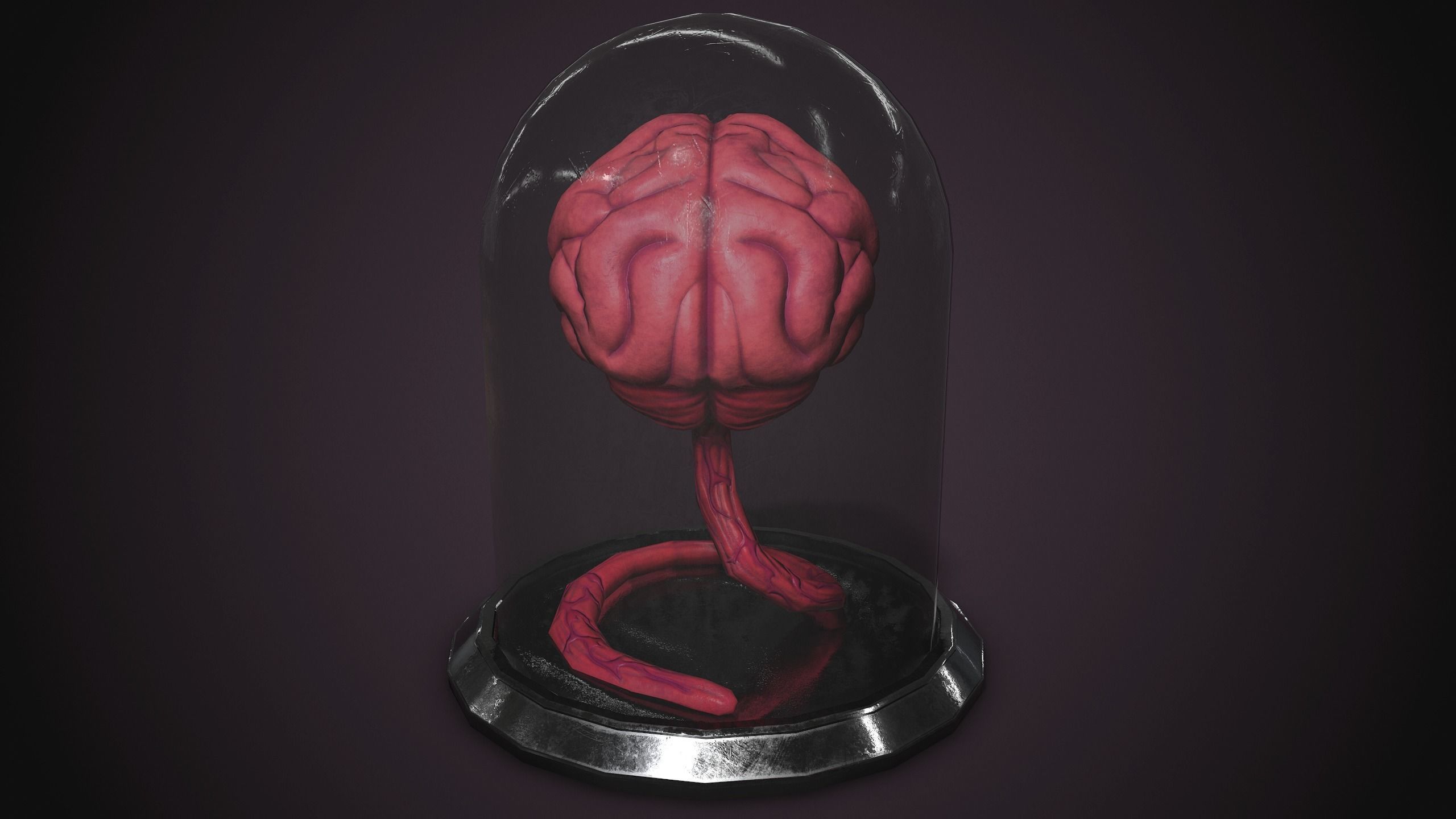 PBR Brain Creature Low-poly 3D model_6