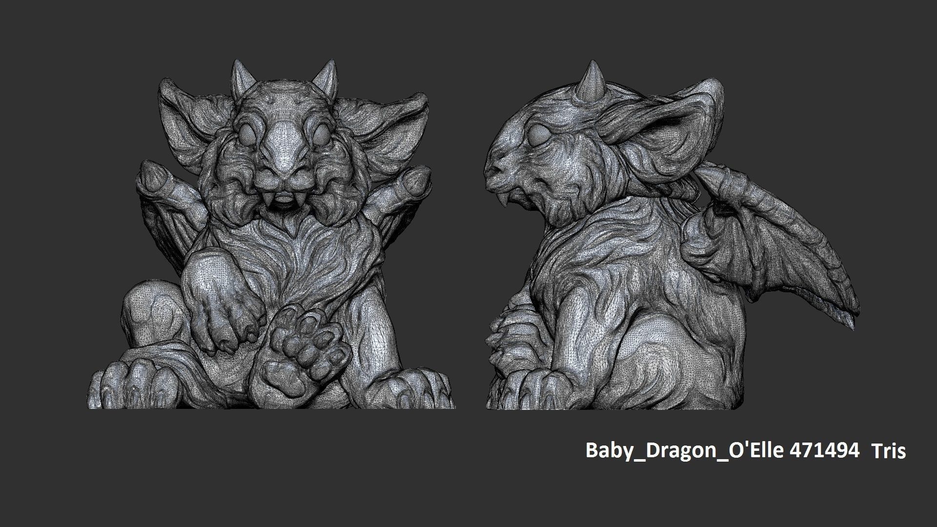 Baby dragon 3d model 3D print model_7