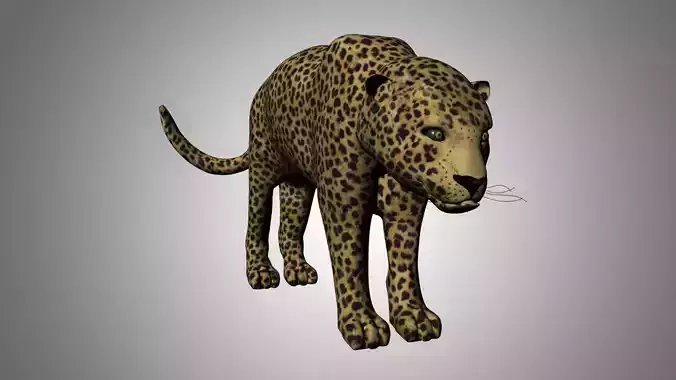 Leopard Low-poly 3D model