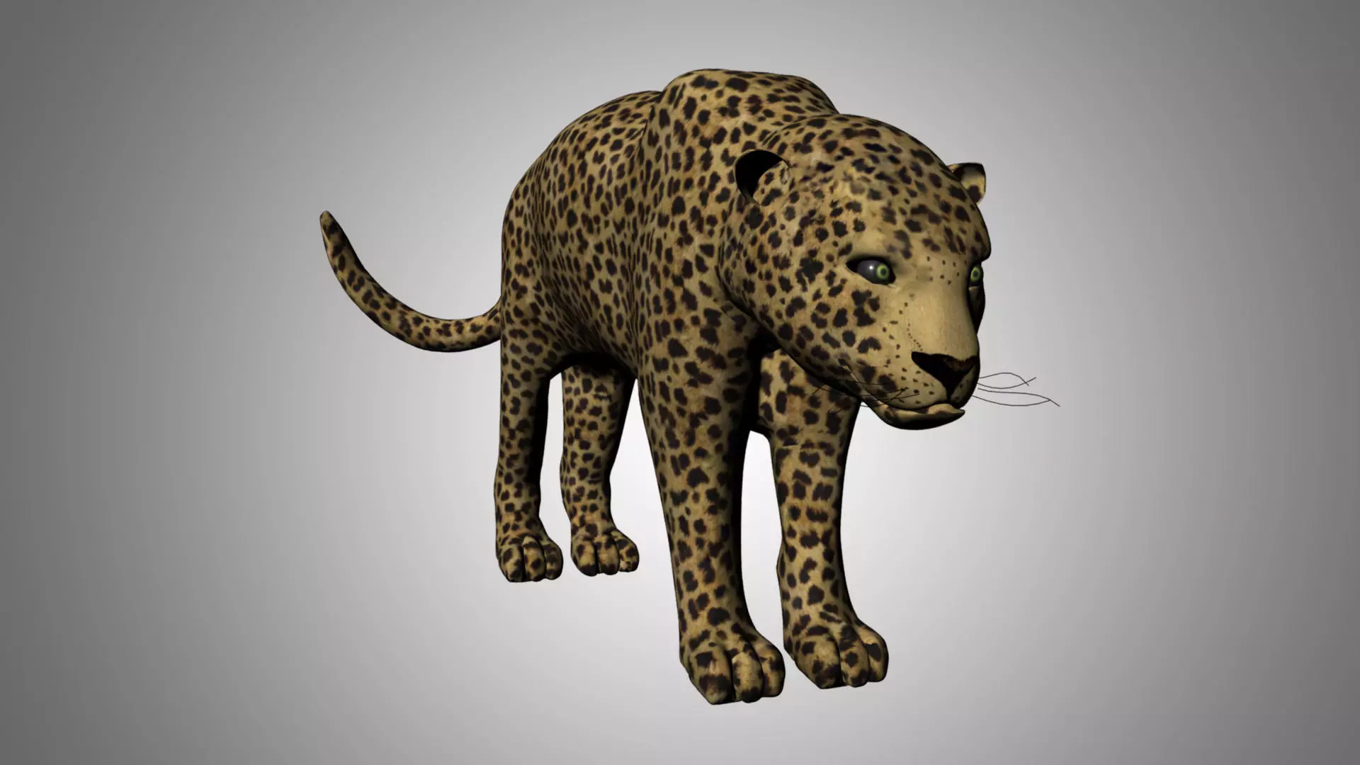 Leopard Low-poly 3D model_0