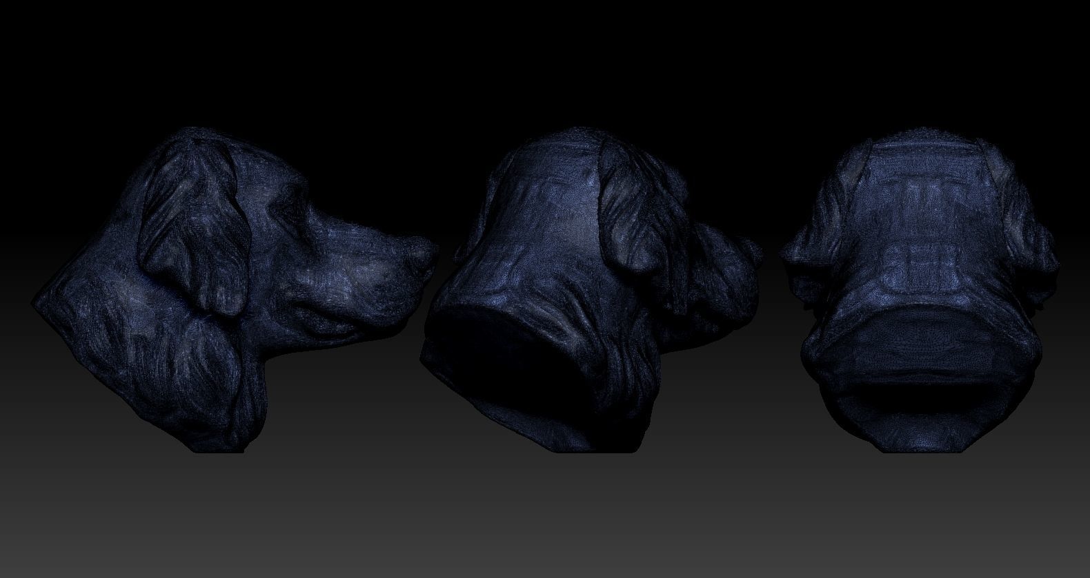 Golden retriever Head 3D print model_9