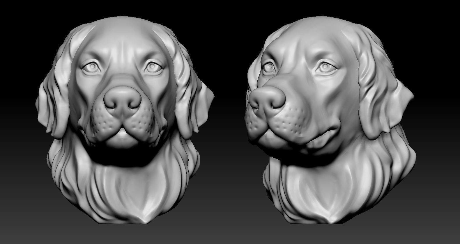 Golden retriever Head 3D print model_2