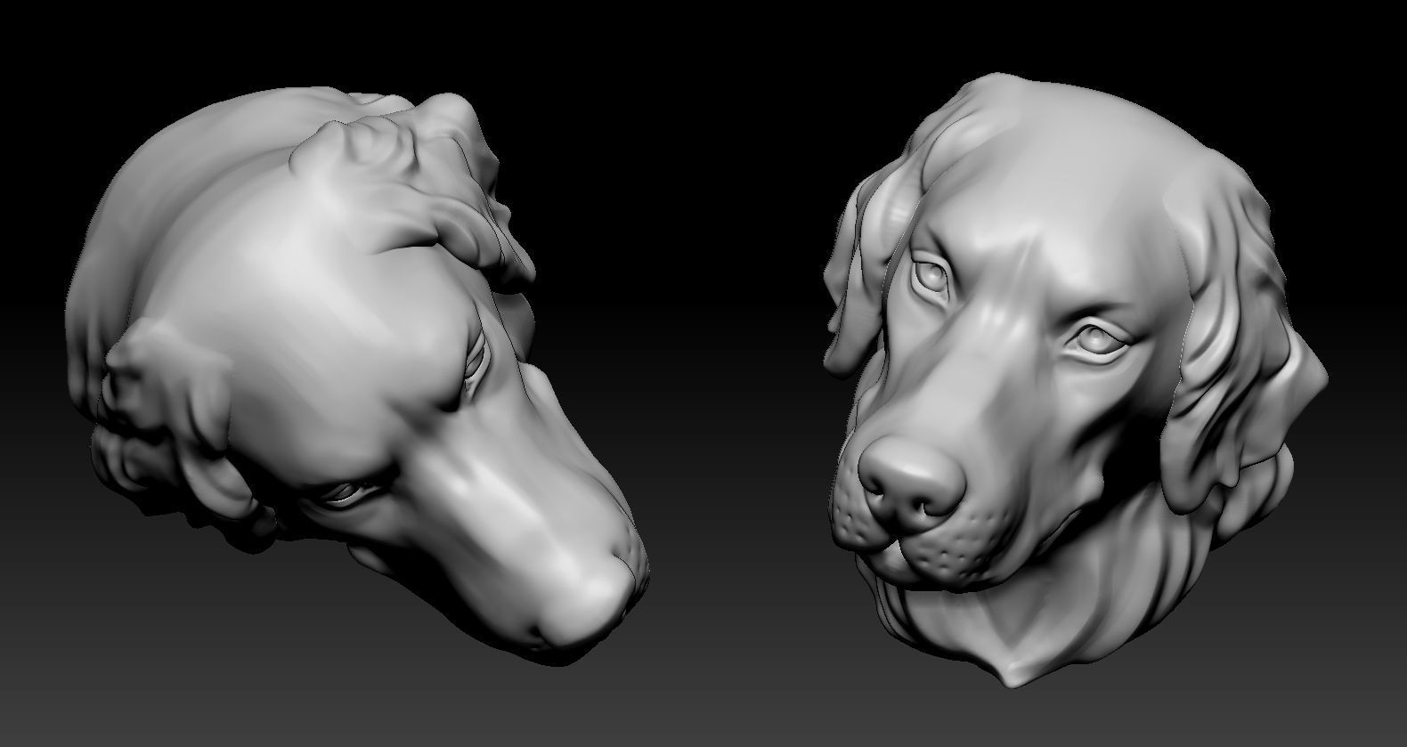 Golden retriever Head 3D print model_6