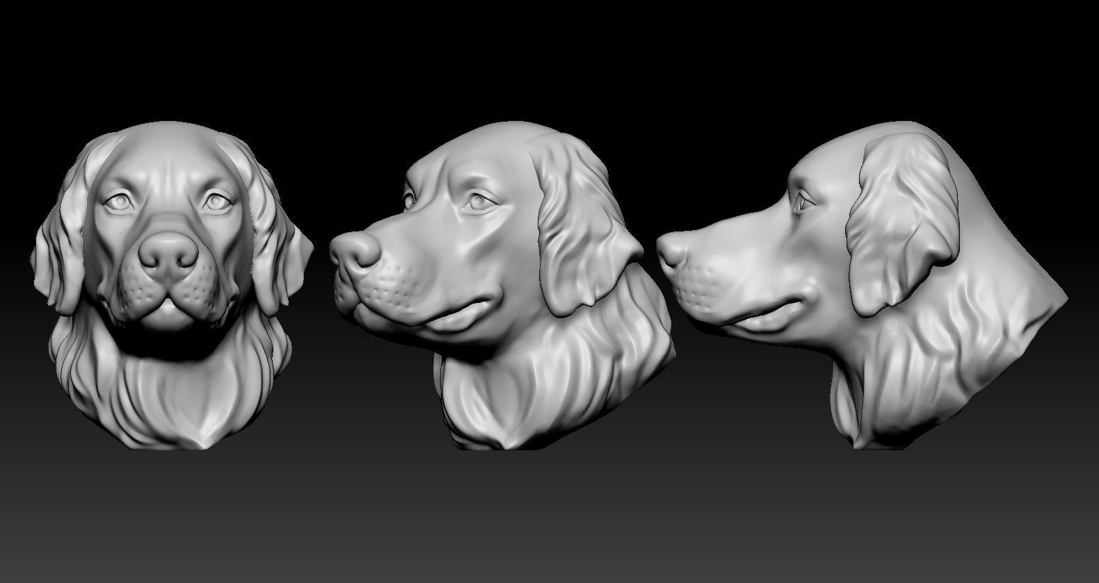 Golden retriever Head 3D print model_7