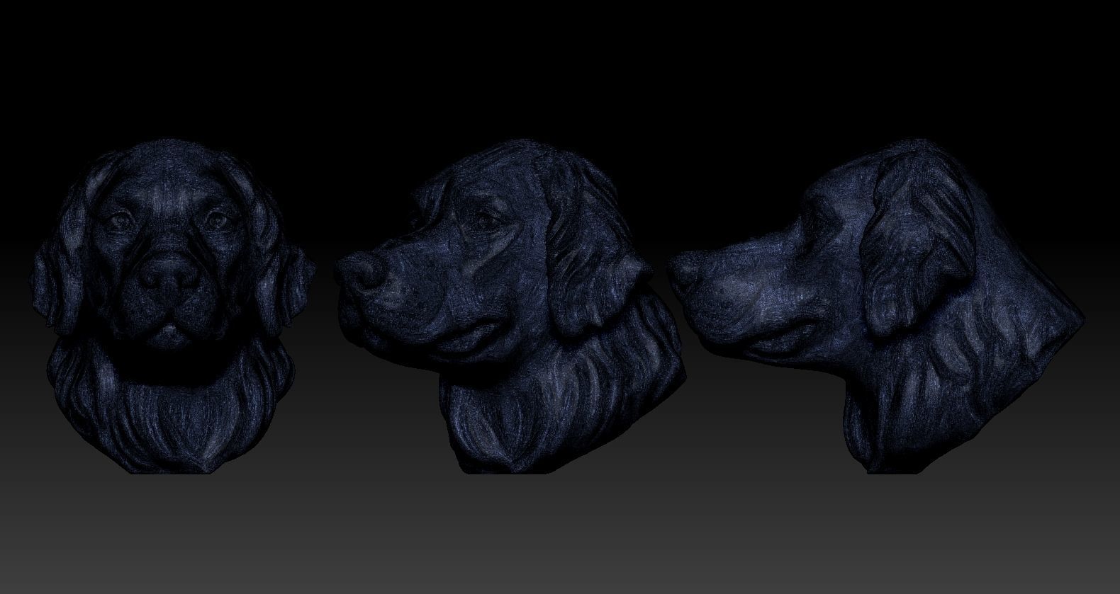 Golden retriever Head 3D print model_10