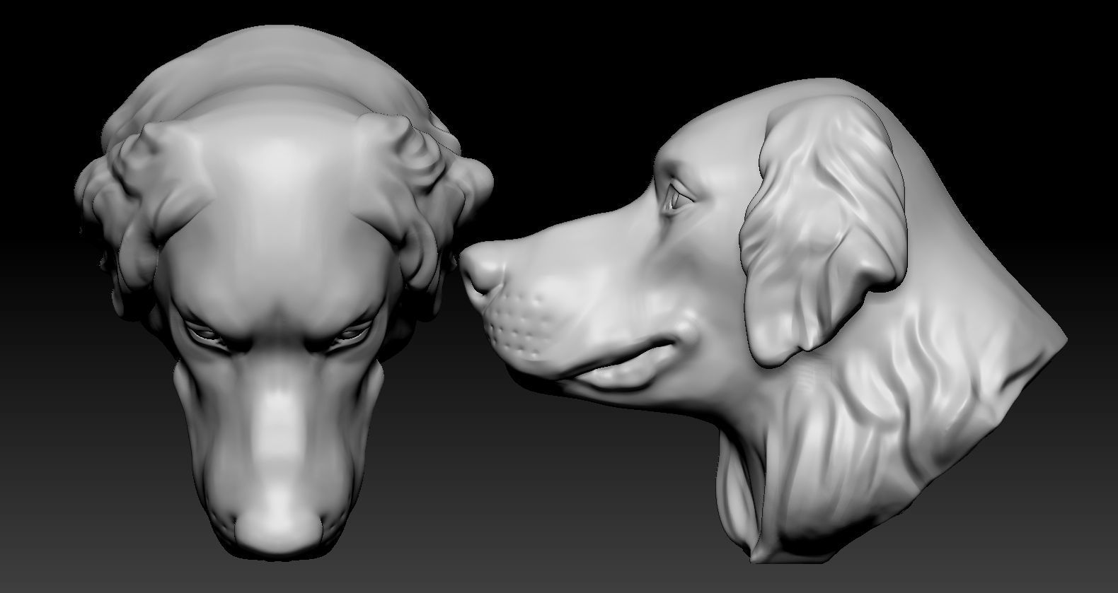 Golden retriever Head 3D print model_4
