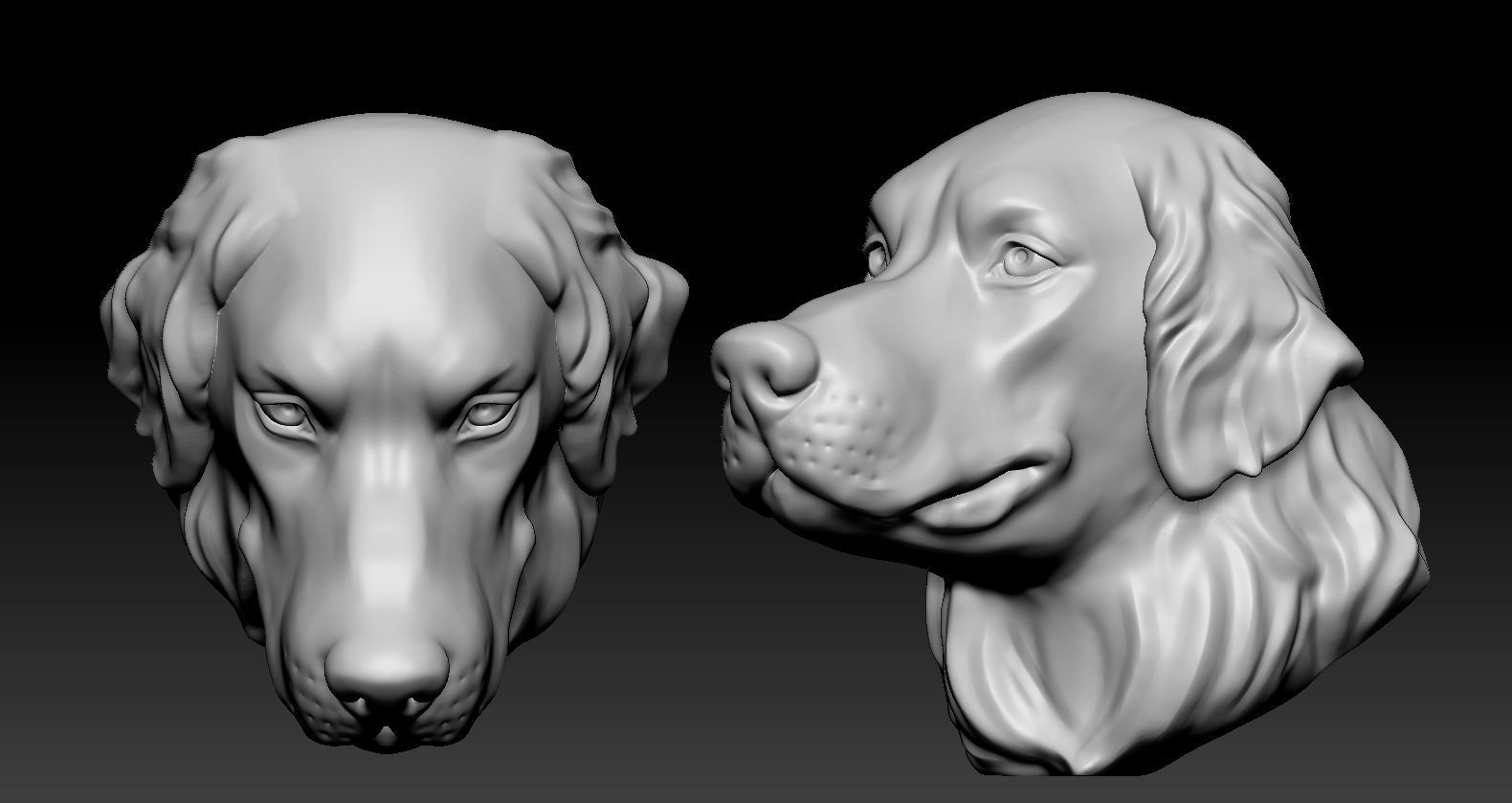 Golden retriever Head 3D print model_3