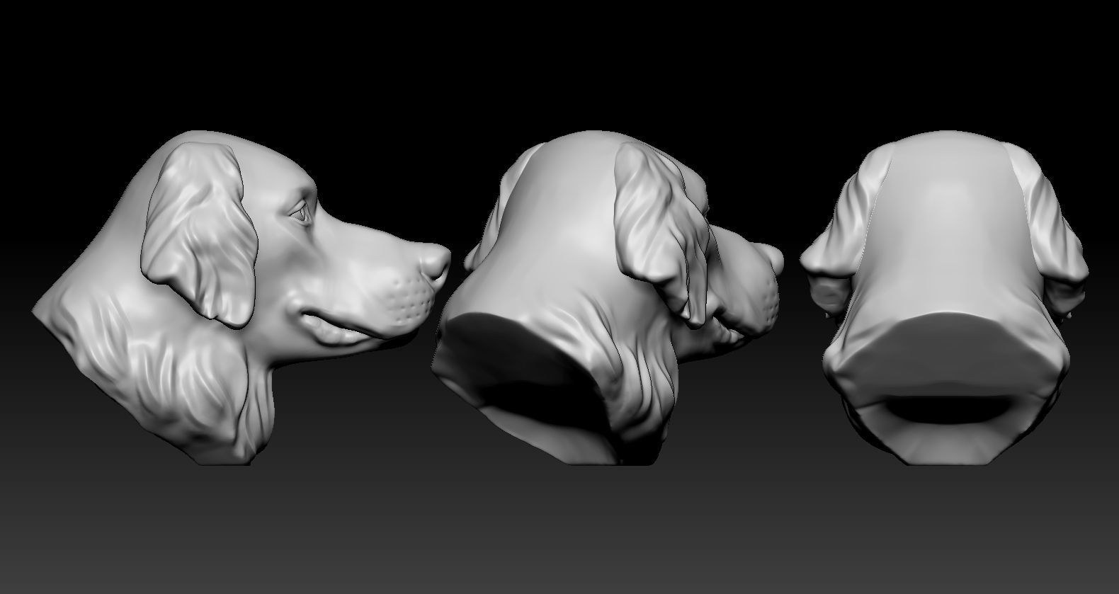 Golden retriever Head 3D print model_8