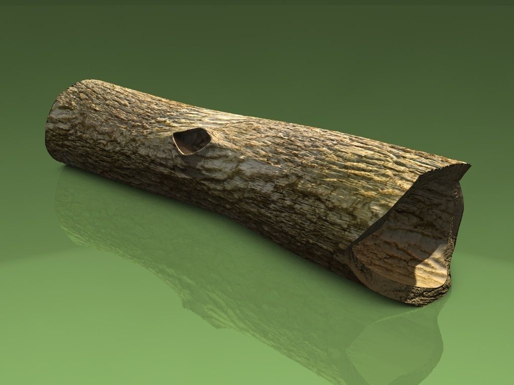 Hollow dead trunk Low-poly 3D model_1