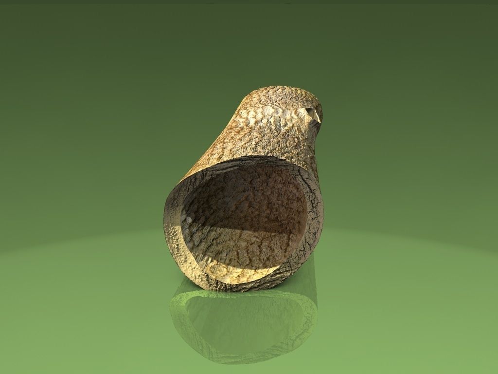 Hollow dead trunk Low-poly 3D model_4