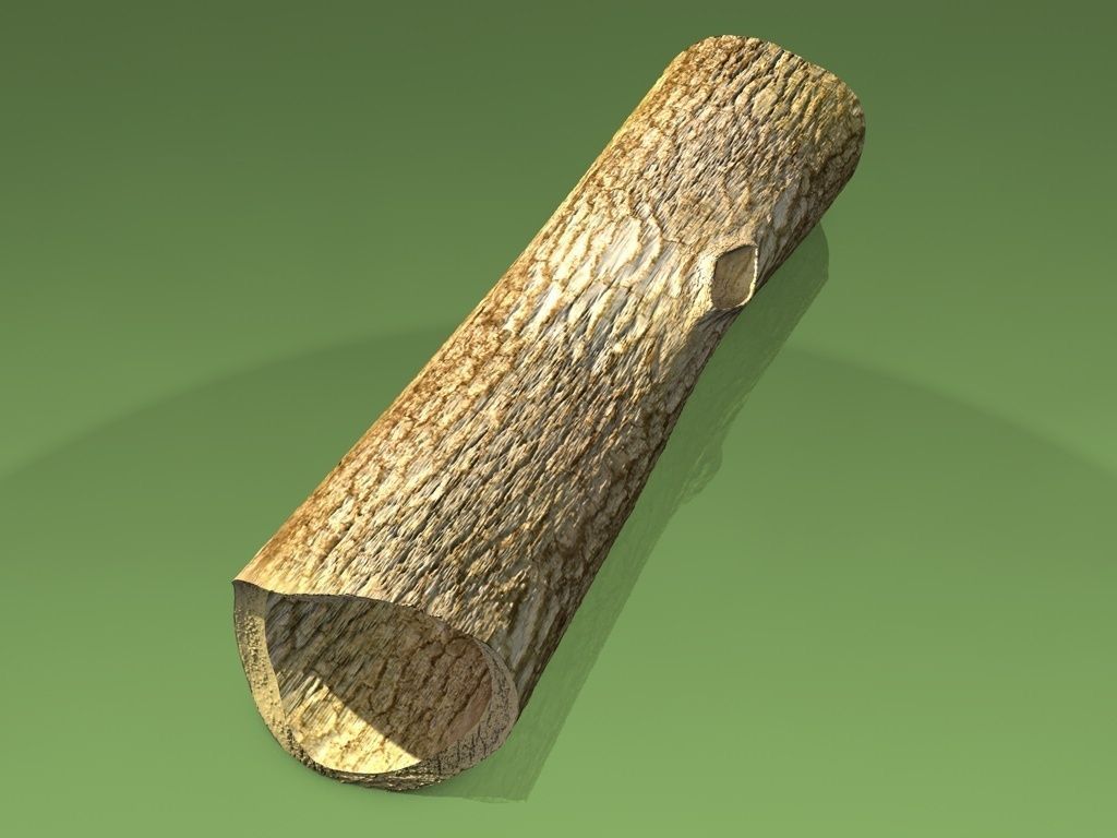 Hollow dead trunk Low-poly 3D model_3
