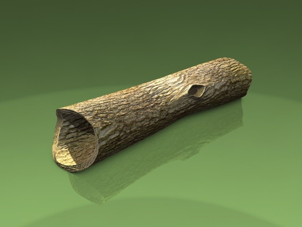 Hollow dead trunk Low-poly 3D model_2