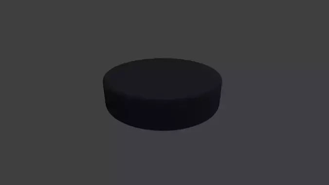 Hockey puck