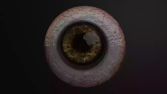 Eye human
