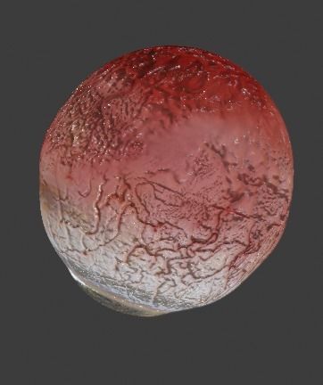 Eye human Low-poly 3D model_4