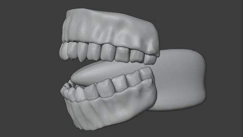 teeth tongue 3D model_3
