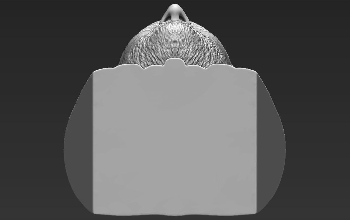 Bradley Cooper bust 3D printing ready stl obj formats 3D print model_31