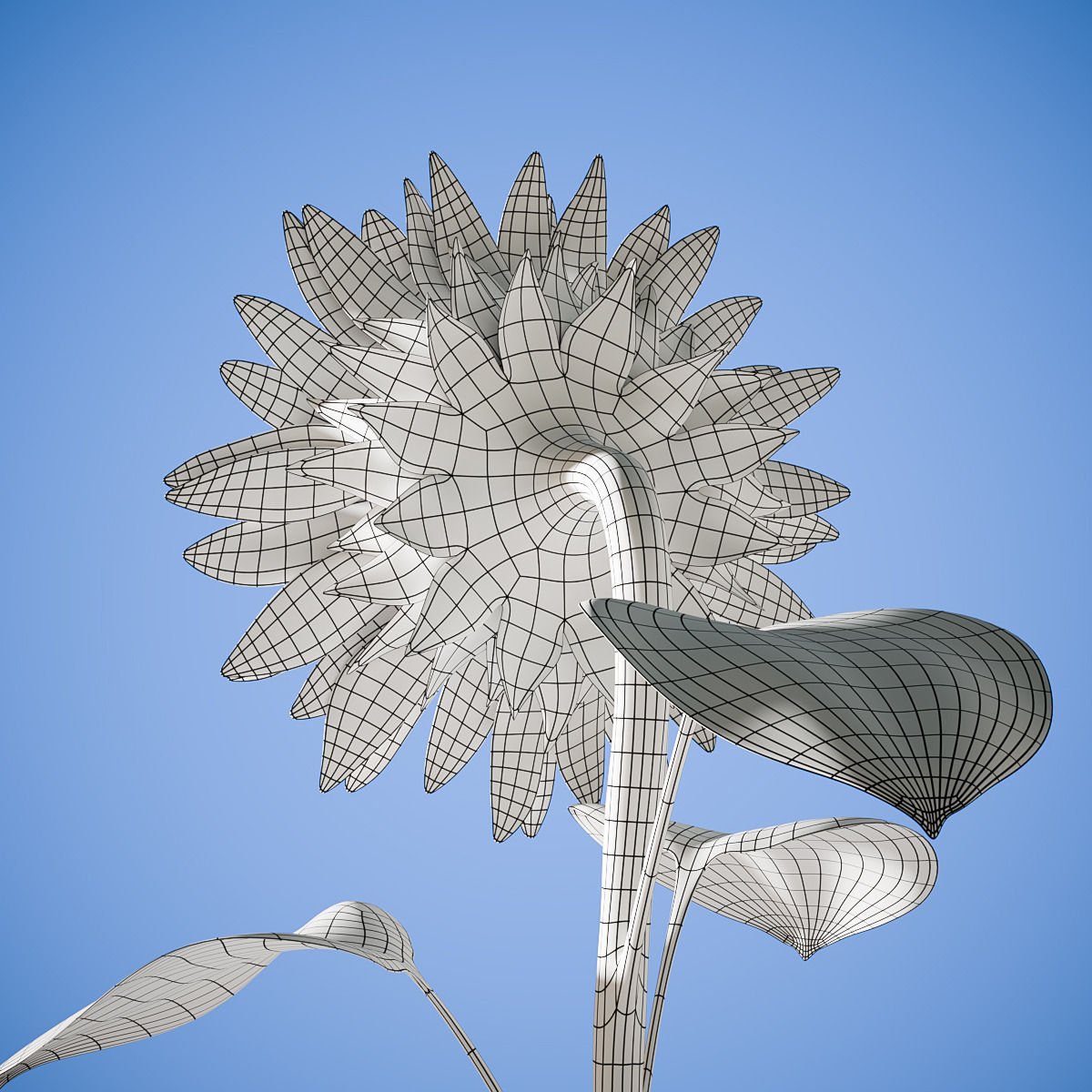 Sunflower 3D model_6