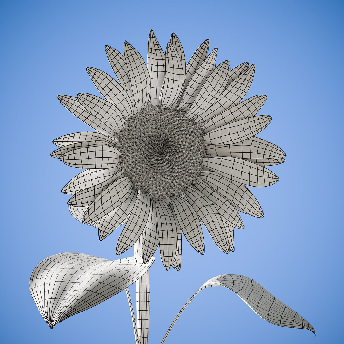 Sunflower 3D model_5