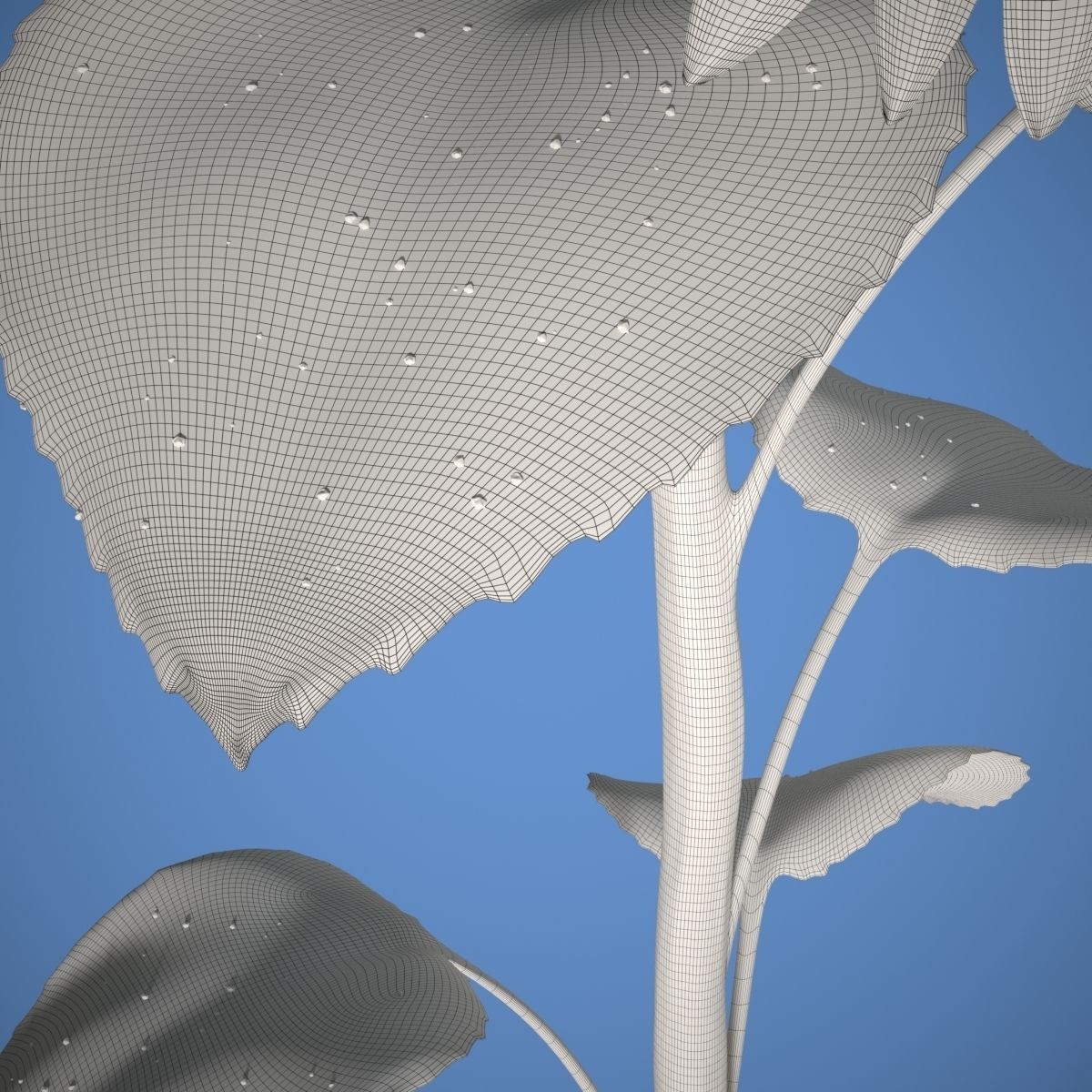 Sunflower 3D model_8