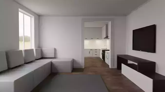 Apartment - Living room and Kitchen