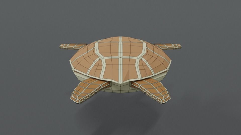 Low Poly Cartoon Loggerhead Sea Turtle Low-poly 3D model_12