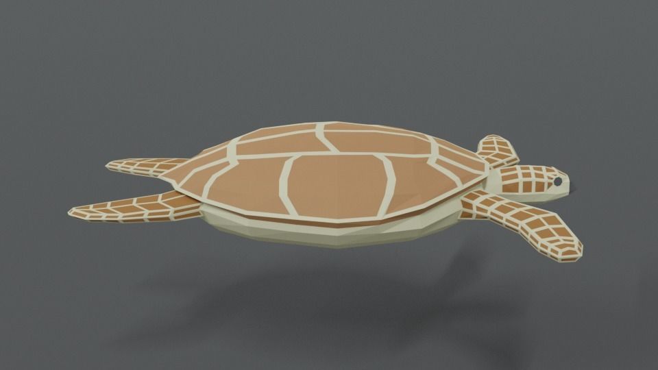 Low Poly Cartoon Loggerhead Sea Turtle Low-poly 3D model_5