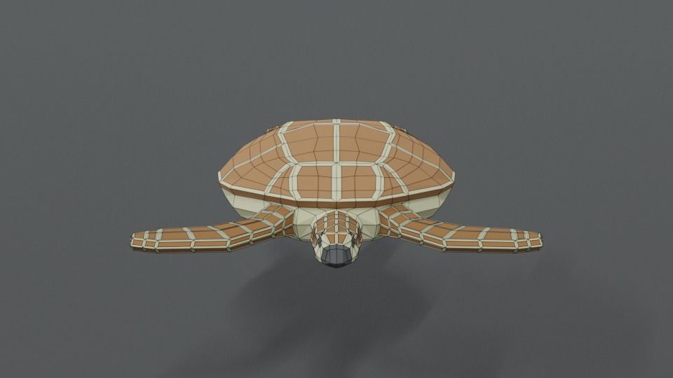 Low Poly Cartoon Loggerhead Sea Turtle Low-poly 3D model_16