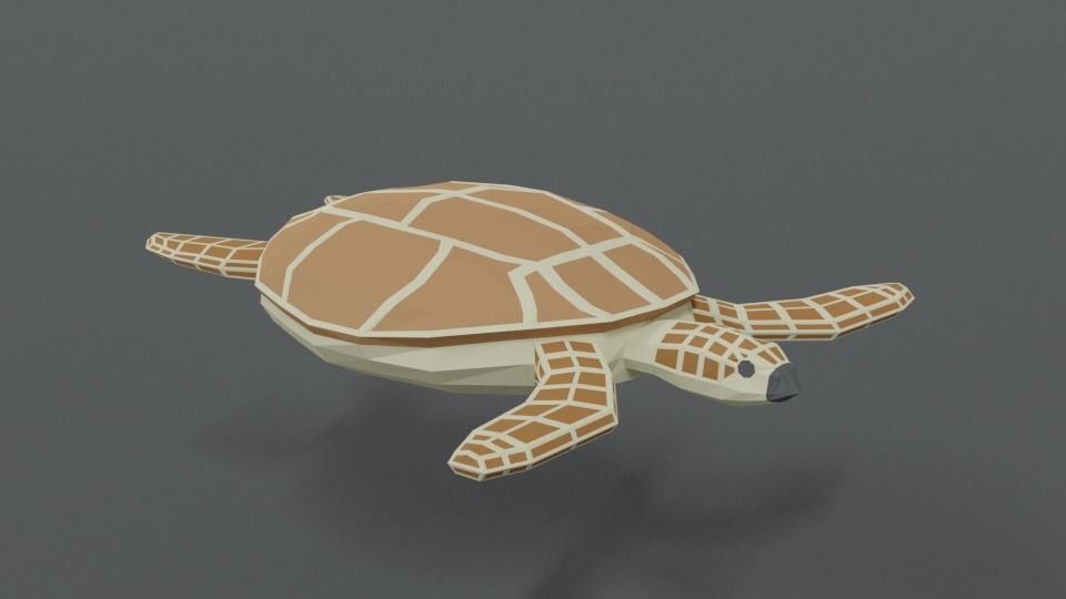 Low Poly Cartoon Loggerhead Sea Turtle Low-poly 3D model_6