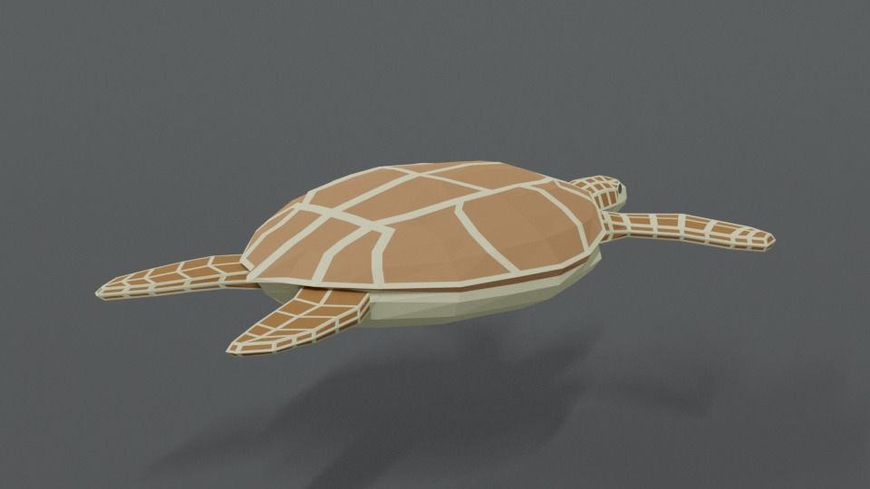 Low Poly Cartoon Loggerhead Sea Turtle Low-poly 3D model_4