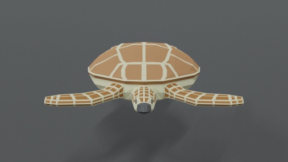 Low Poly Cartoon Loggerhead Sea Turtle Low-poly 3D model_7