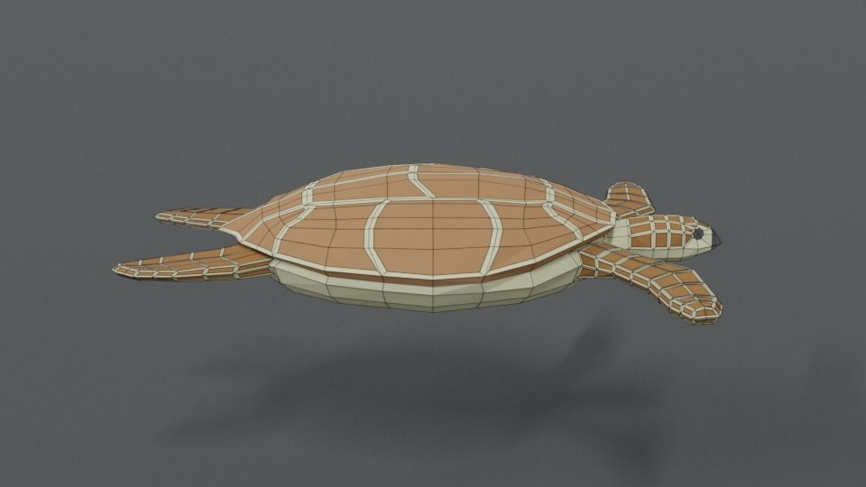 Low Poly Cartoon Loggerhead Sea Turtle Low-poly 3D model_14