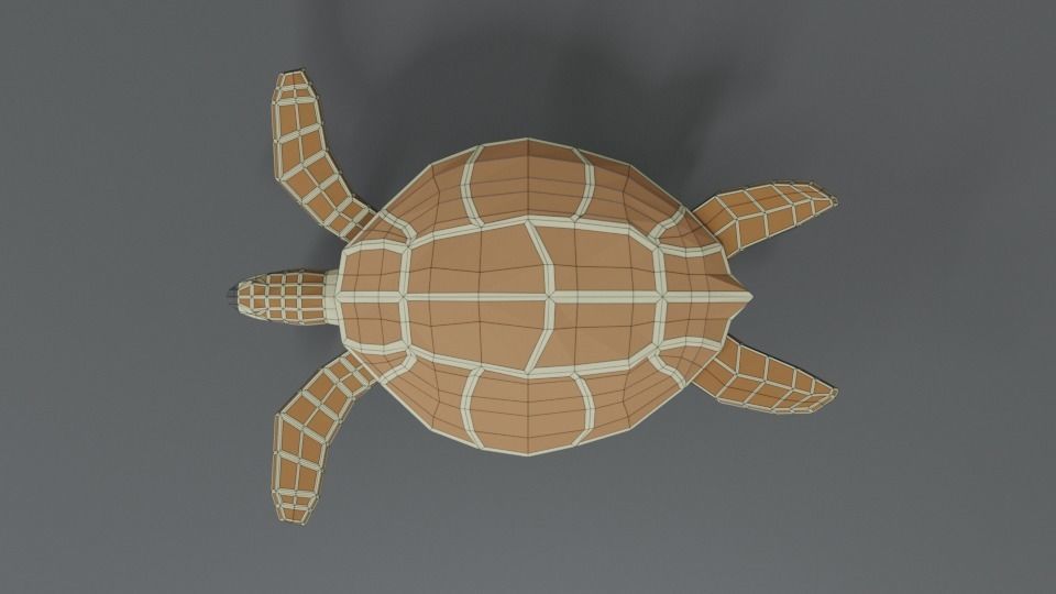 Low Poly Cartoon Loggerhead Sea Turtle Low-poly 3D model_17