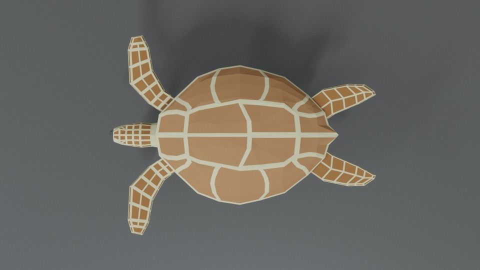 Low Poly Cartoon Loggerhead Sea Turtle Low-poly 3D model_8