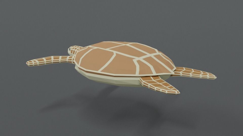 Low Poly Cartoon Loggerhead Sea Turtle Low-poly 3D model_2