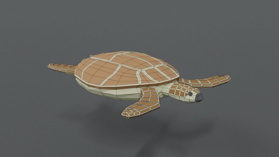 Low Poly Cartoon Loggerhead Sea Turtle Low-poly 3D model_15