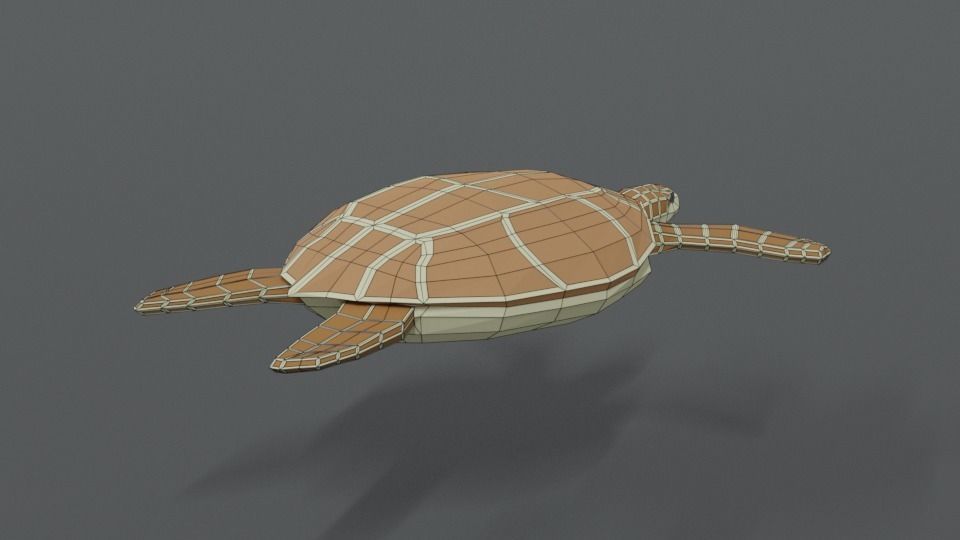 Low Poly Cartoon Loggerhead Sea Turtle Low-poly 3D model_13