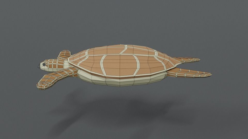 Low Poly Cartoon Loggerhead Sea Turtle Low-poly 3D model_10