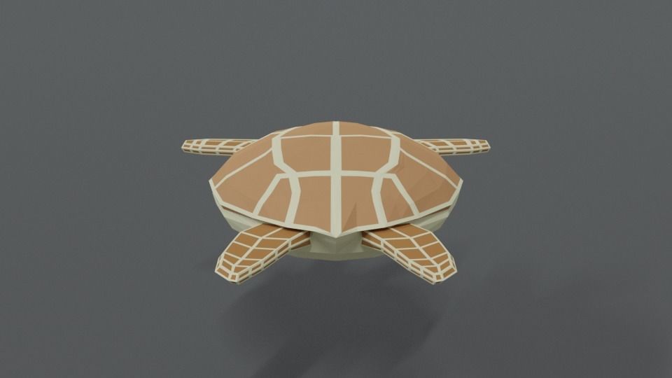 Low Poly Cartoon Loggerhead Sea Turtle Low-poly 3D model_3