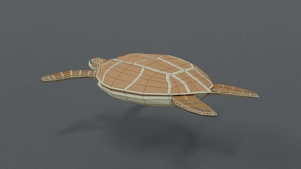 Low Poly Cartoon Loggerhead Sea Turtle Low-poly 3D model_11