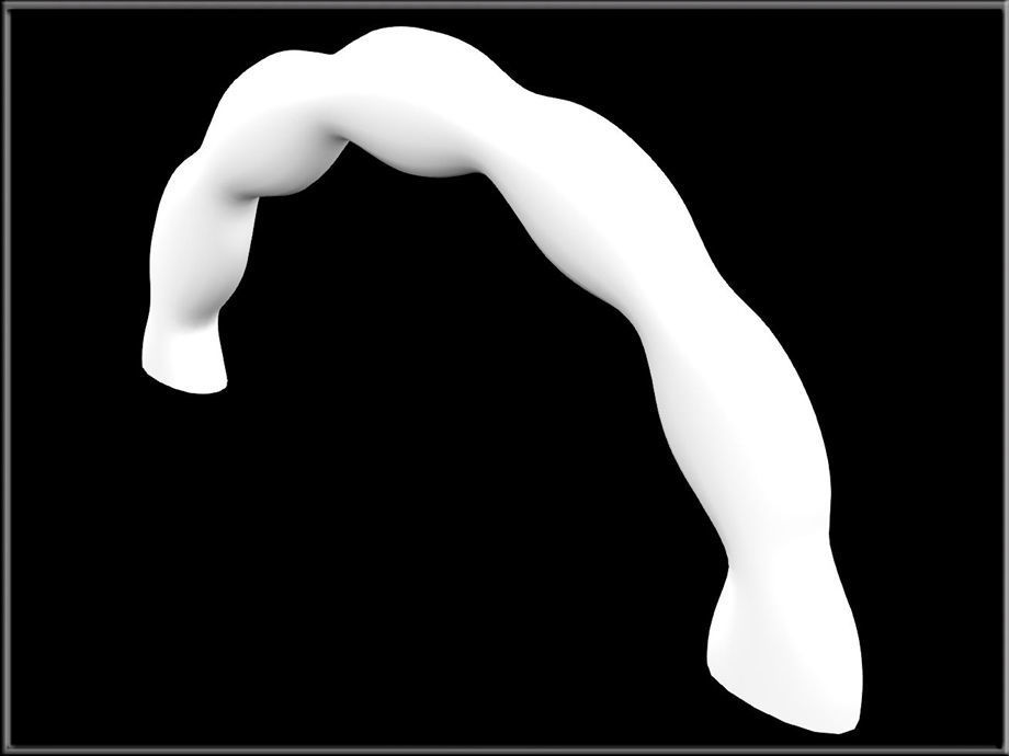 Flower Petals Band Ring 03 - Half Low-poly 3D model_4