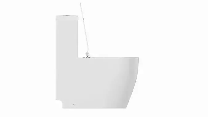 3D Modern Realistic Bidet TCB 035