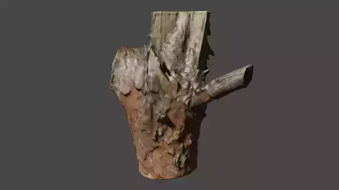 Photo-realistic wood