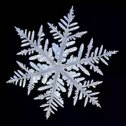 snow flake  3D model