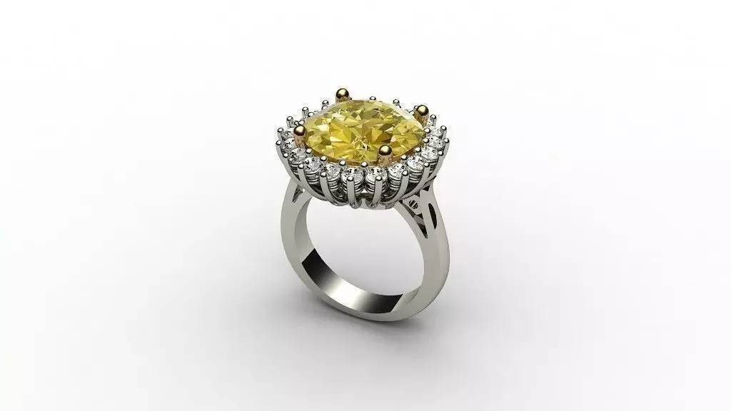 Ring CT 3D print model_0