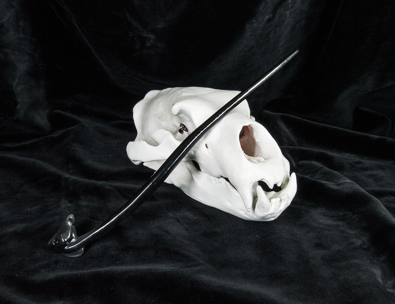 Harry Potter Wand Collection 3D print model_41