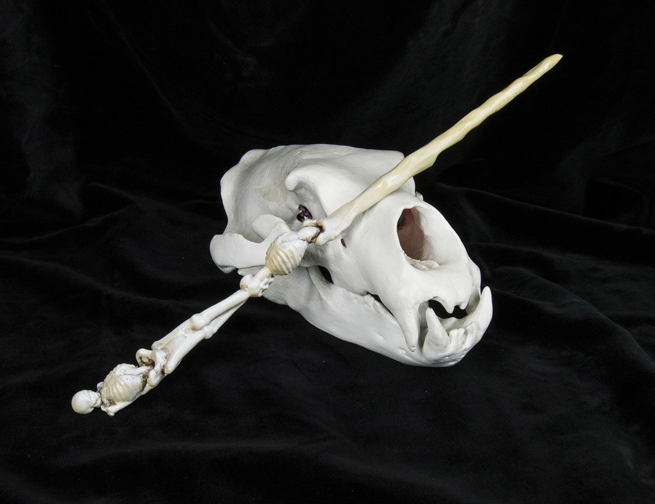 Harry Potter Wand Collection 3D print model_42