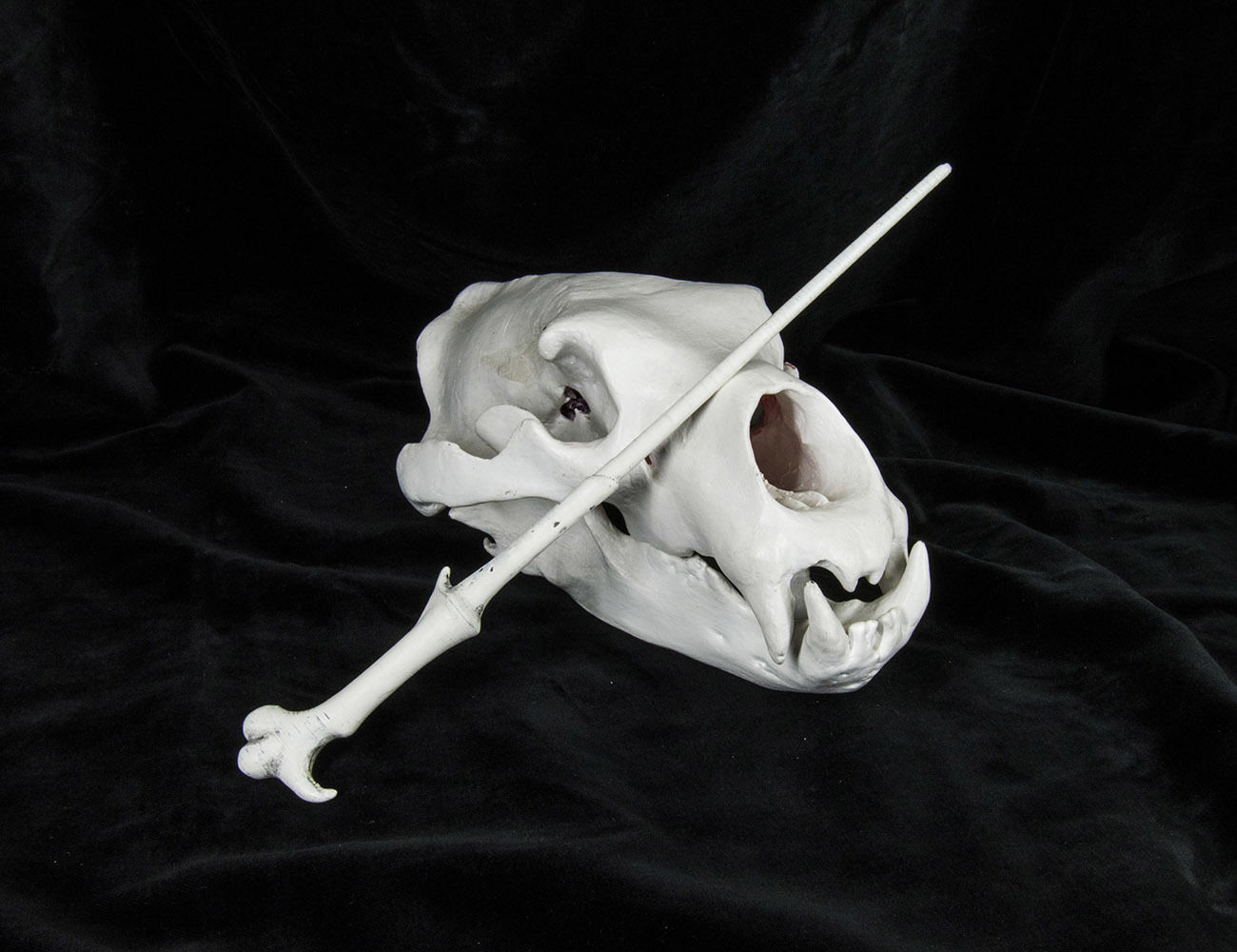 Harry Potter Wand Collection 3D print model_6