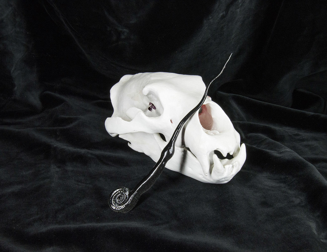 Harry Potter Wand Collection 3D print model_45